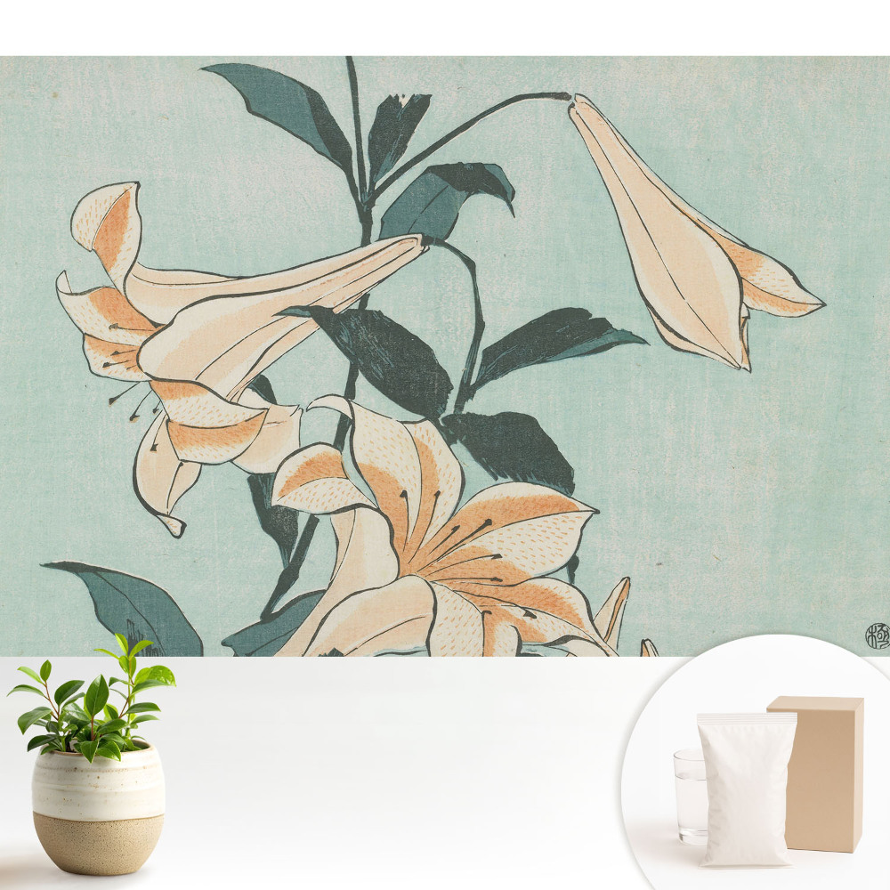 Tapeta Klasická jemnosť prírody