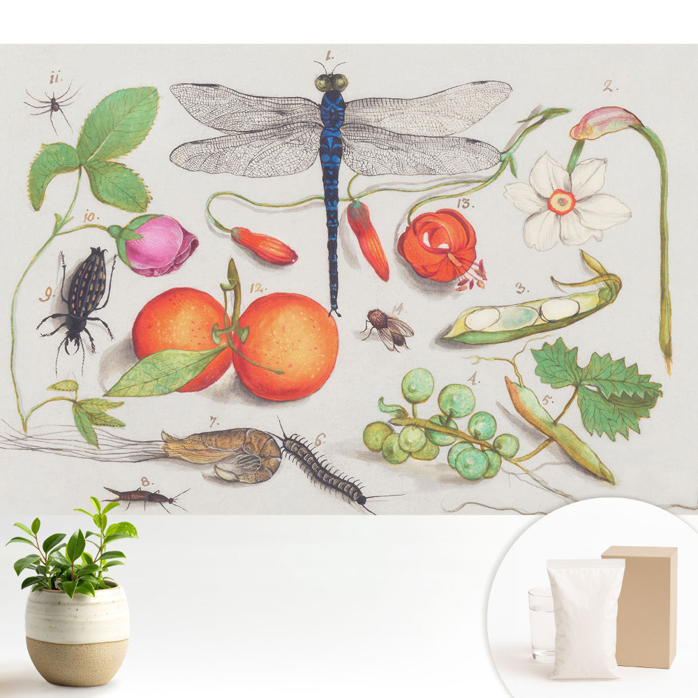Tapeta do obývačky s botanickou kolážou a motívom hmyzu
