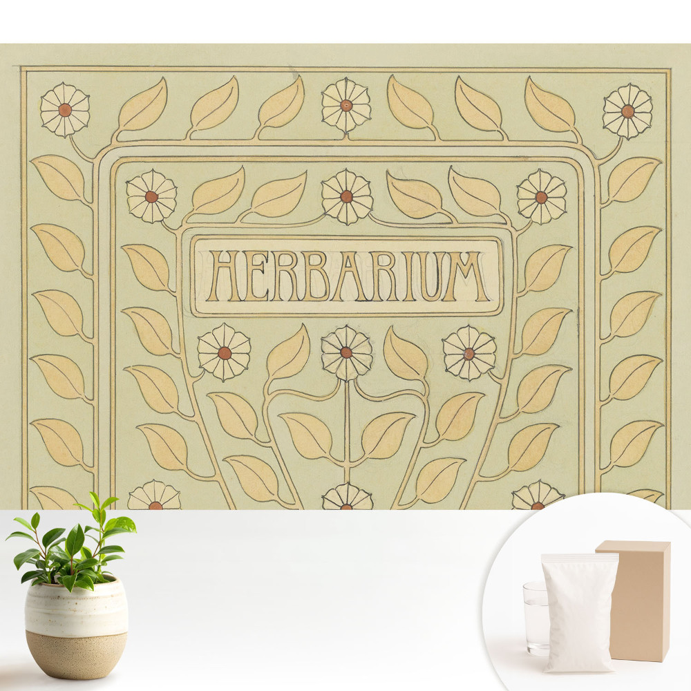 Luxusná tapeta s art nouveau rastlinnými motívmi a nápisom „Herbarium”