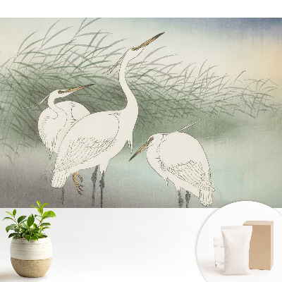 Tapeta Jemné vtáky medzi trávou