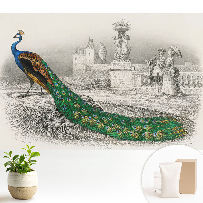 Tapeta Páv v záhrade s barokovými postavami