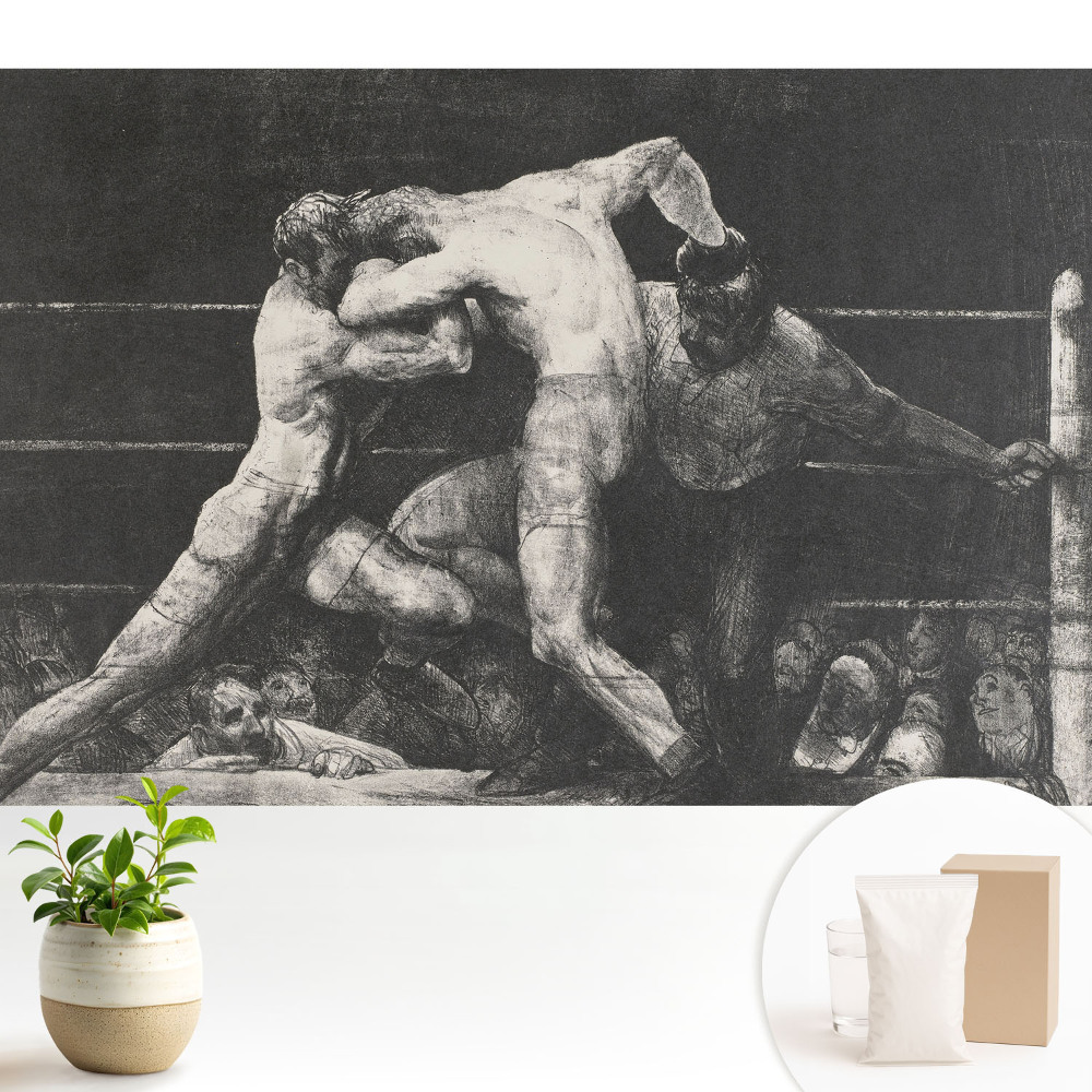 Tapeta na stenu s motívom boxerskej súťaže plnej emócií