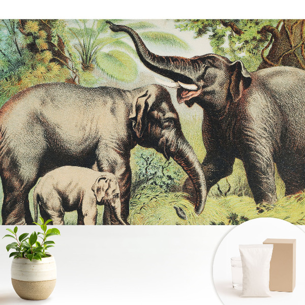 Luxusná tapeta Rodina slonov na pozadí džungle