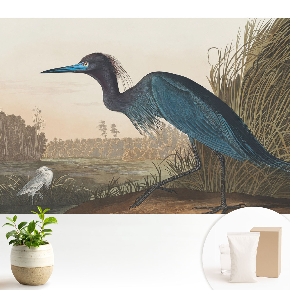 Tapeta na stenu Klasická vtáčia krajina