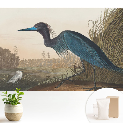 Tapeta na stenu Klasická vtáčia krajina