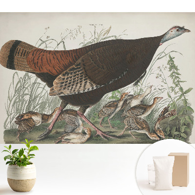 Tapeta do obývačky s motívom prírodnej ilustrácie divej morky