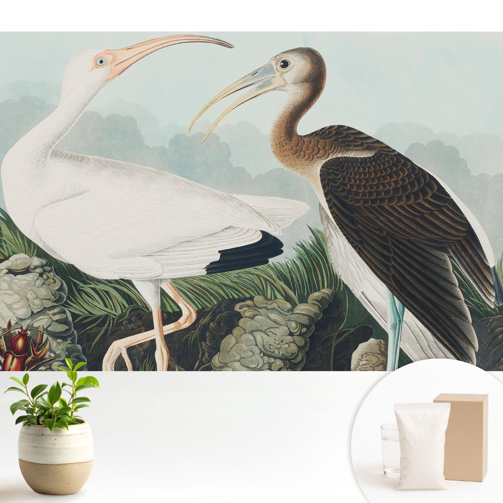 Luxusná tapeta Dva vtáky v ich prirodzenom prostredí