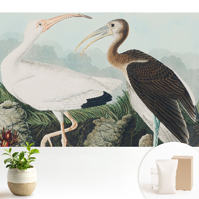 Luxusná tapeta Dva vtáky v ich prirodzenom prostredí