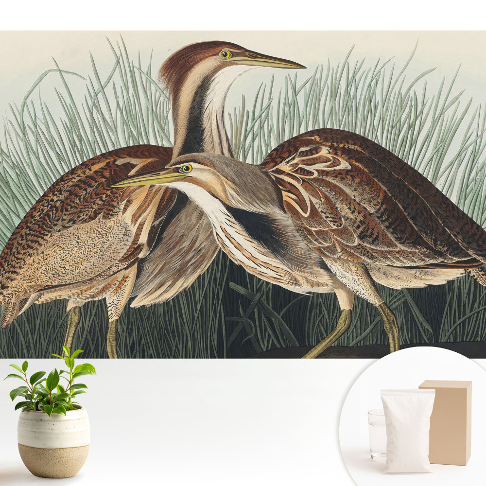 Tapeta do obývačky Vtáky v tráve Klasický realizmus Symetria