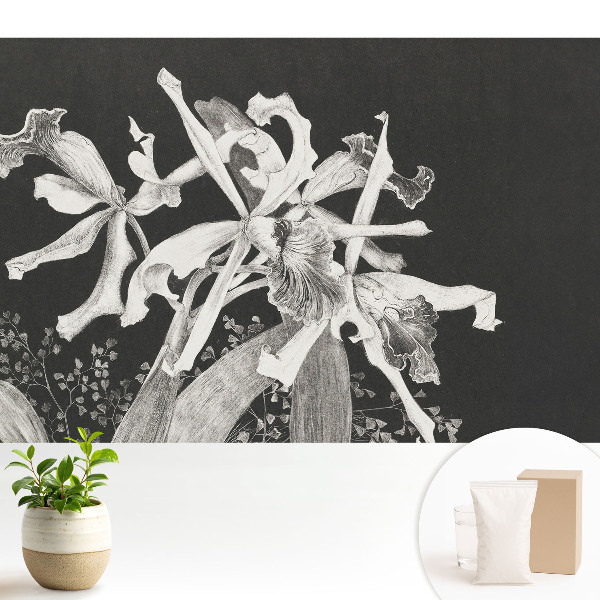 Tapeta do obývačky Elegantné kvety na tmavom pozadí