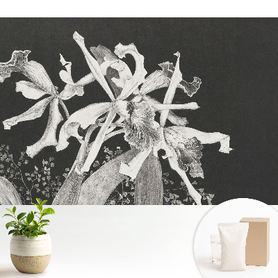 Tapeta do obývačky Elegantné kvety na tmavom pozadí