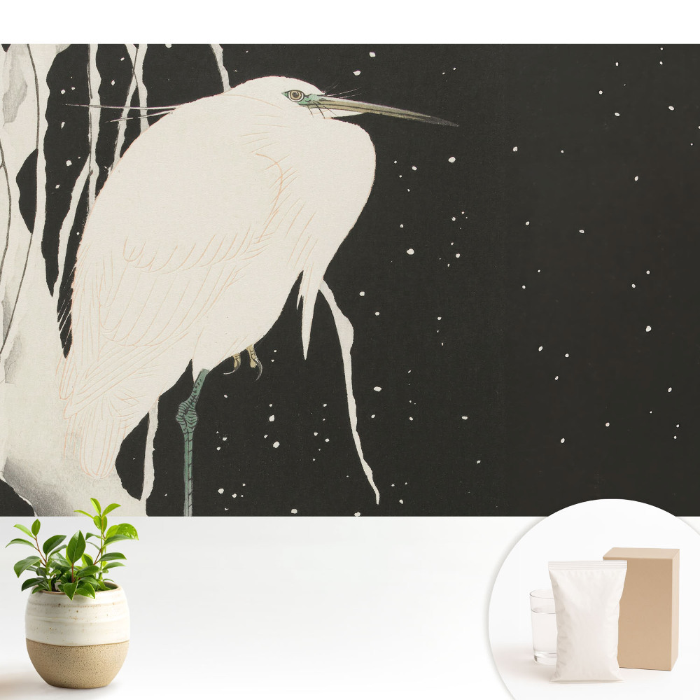 Tapeta na stenu Vtáčik na konári počas zimného večera