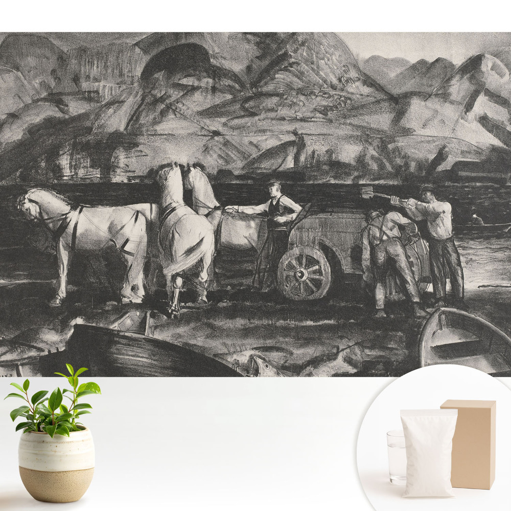 Tapeta do obývačky Horská práca s koňmi