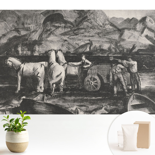 Tapeta do obývačky Horská práca s koňmi