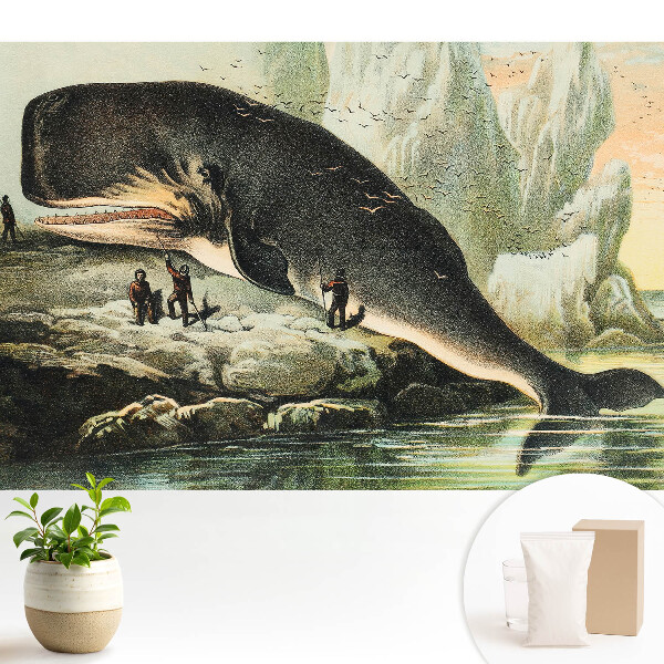 Luxusná tapeta Vorvaň na brehu v klasickom prostredí