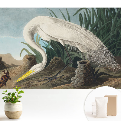 Tapeta Volavka v tráve