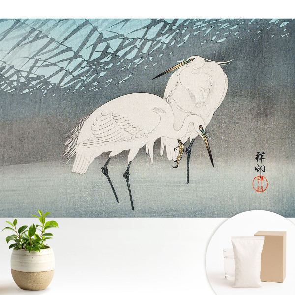 Tapeta Tradičné vtáky elegancia detail voda mier