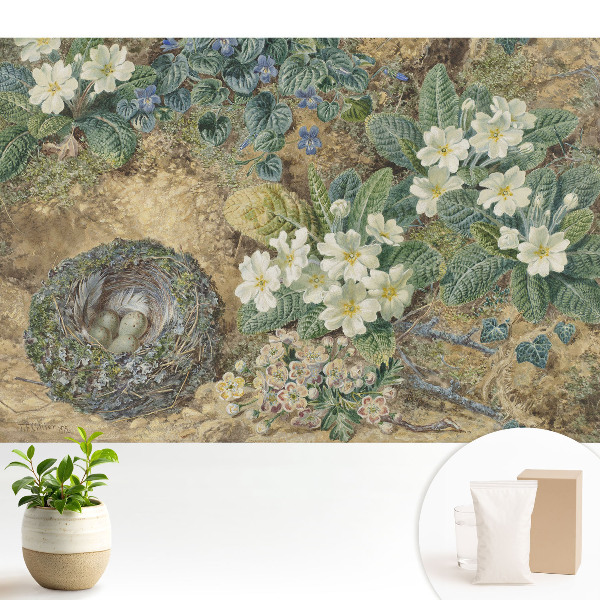 Tapeta Kvety prvosienky s vtáčím hniezdom