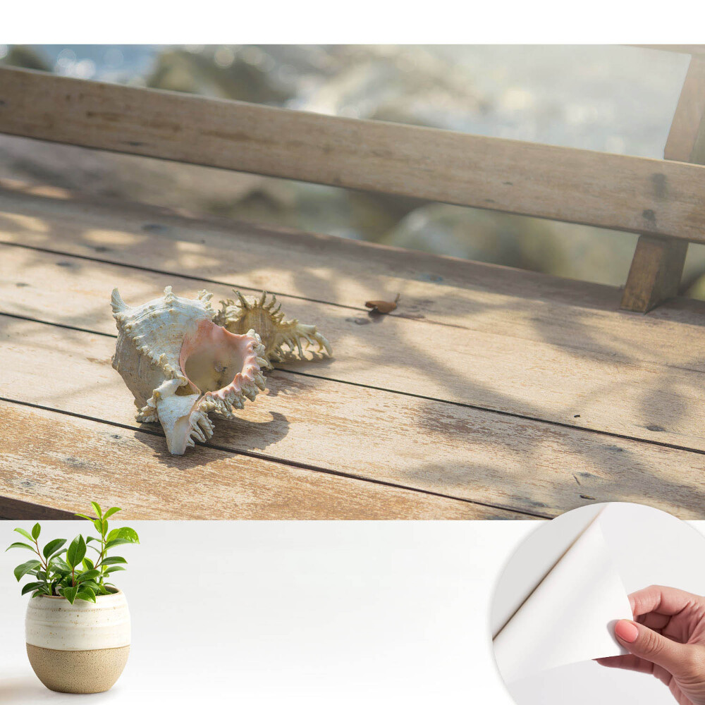 Tapeta Škrupina na drevenej lavičke