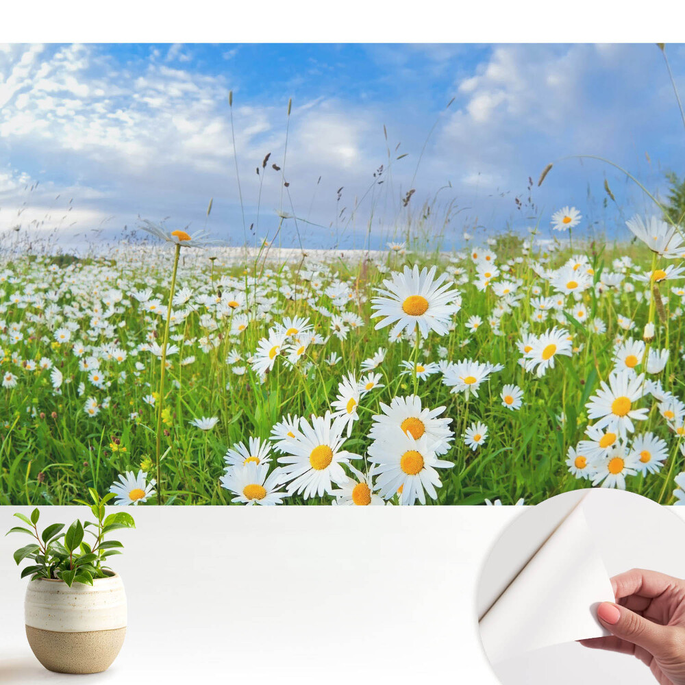 Tapeta do obývačky Kvitnúca lúka v lete