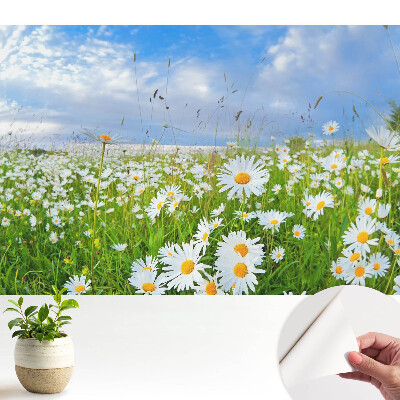 Tapeta do obývačky Kvitnúca lúka v lete