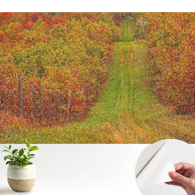 Tapety na stenu samolepiace Jesenná cesta medzi farebnými stromami