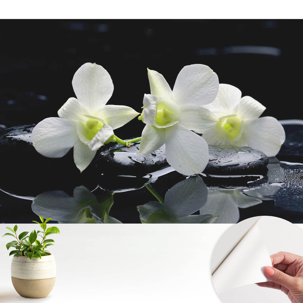 Tapeta do obývačky Biele orchidey na kameňoch.