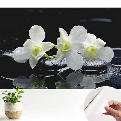 Tapeta do obývačky s motívom bielych orchideí na kamennom pozadí