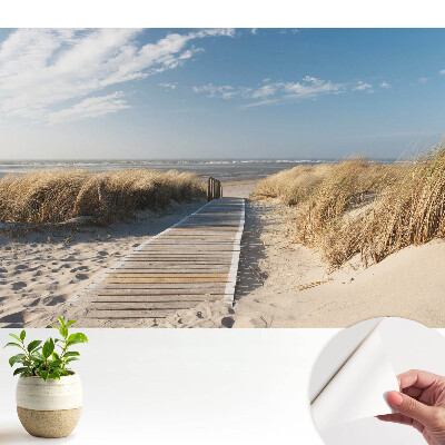 Tapeta do obývačky Prímorský chodník medzi dunami