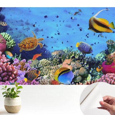 Tapeta do obývačky Podvodný svet plný farieb