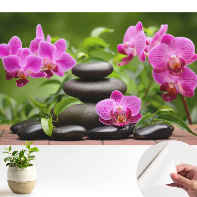 Tapeta do obývačky Kvety a kamene v harmonickom aranžmáne