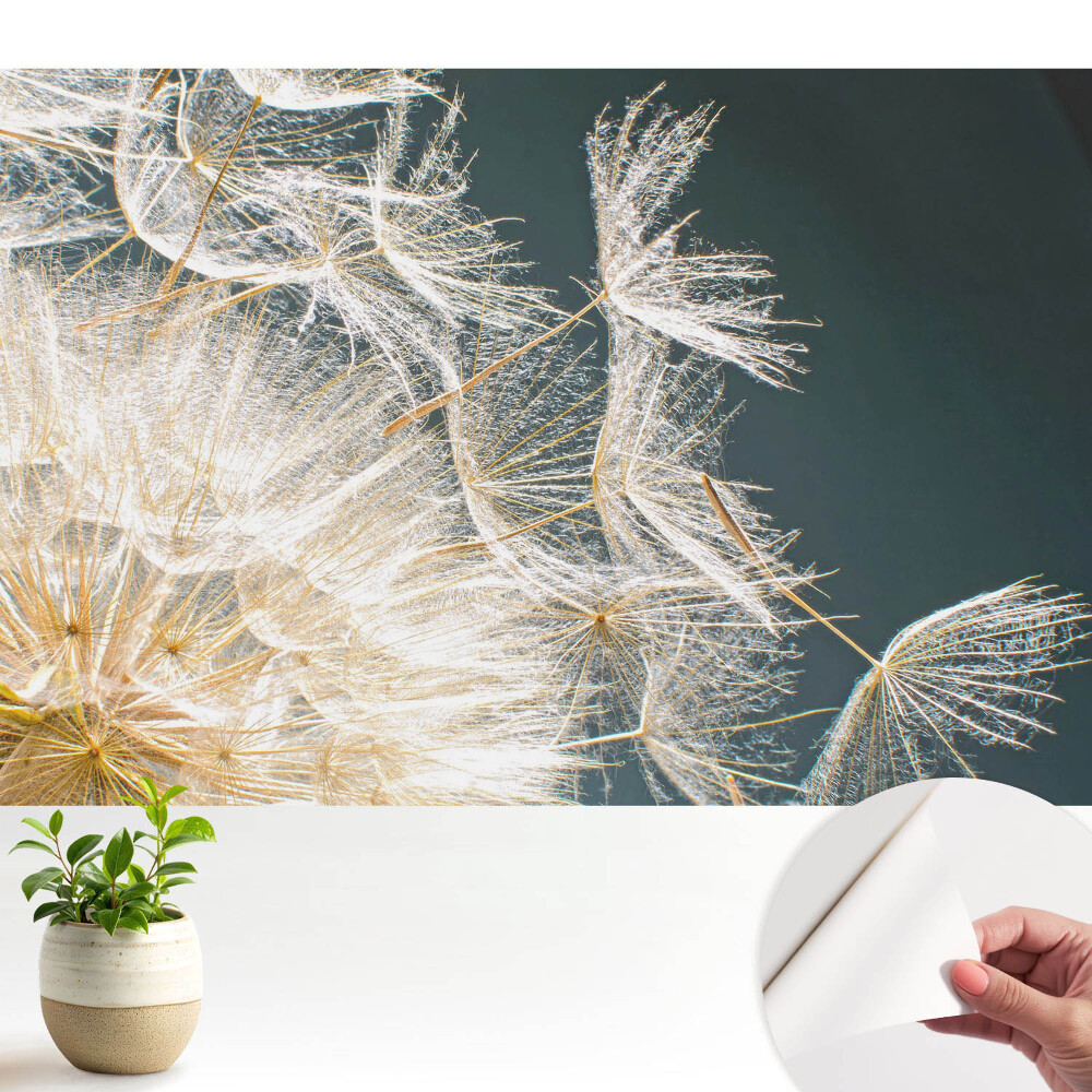 Tapeta do obývačky Éterické semená krehkej púpavy