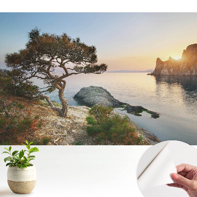 Tapety na stenu samolepiace s motívom malebného západu slnka nad útesom