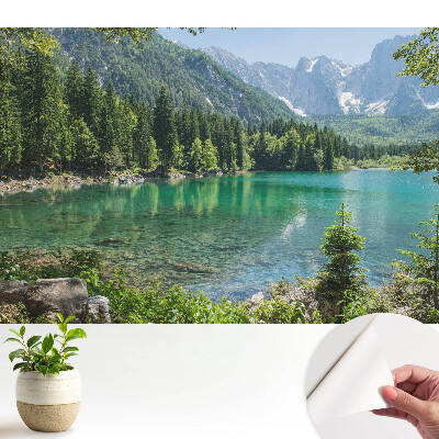 Tapety na stenu samolepiace Prirodzená krása a harmónia