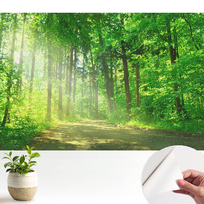 Tapeta so vzorom zeleného lesa so slnkom pre vytvorenie pokojnej atmosféry