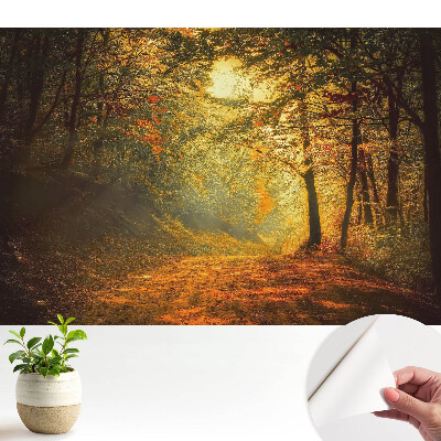Luxusná tapeta Kúzlo jesenného lesa
