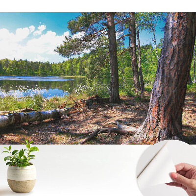 Tapeta na stenu samolepiaca s motívom lesnej krajiny pri jazere v prírodných farbách
