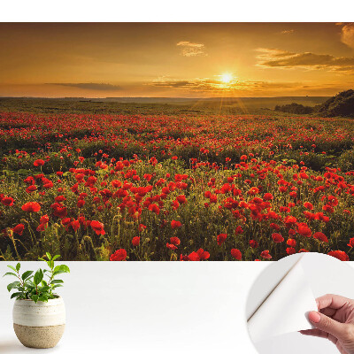 Tapeta so západom slnka v makovom poli