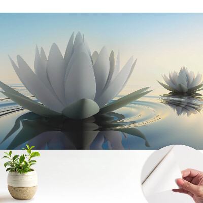 Tapeta Jemné lekná, vodná harmónia