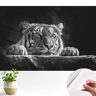 Tapety na stenu samolepiace Tiger v čiernej a bielej farbe