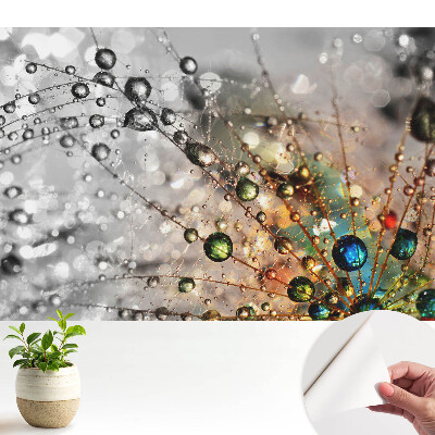 Tapeta do obývačky s motívom farieb kvapiek na pavučine