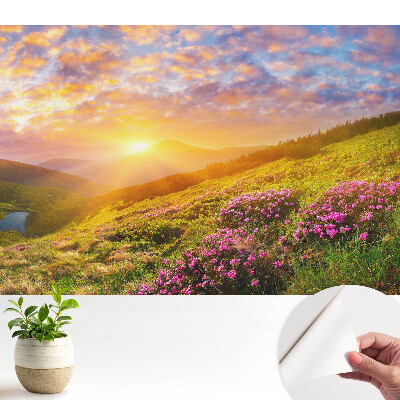 Tapeta do obývačky Kvety v horách pri západe slnka