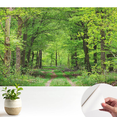 Tapety na stenu samolepiace Harmonická scenéria zeleného lesa