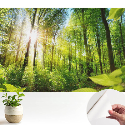 Luxusná tapeta Energia slnečného žiarenia v lesnej krajine.