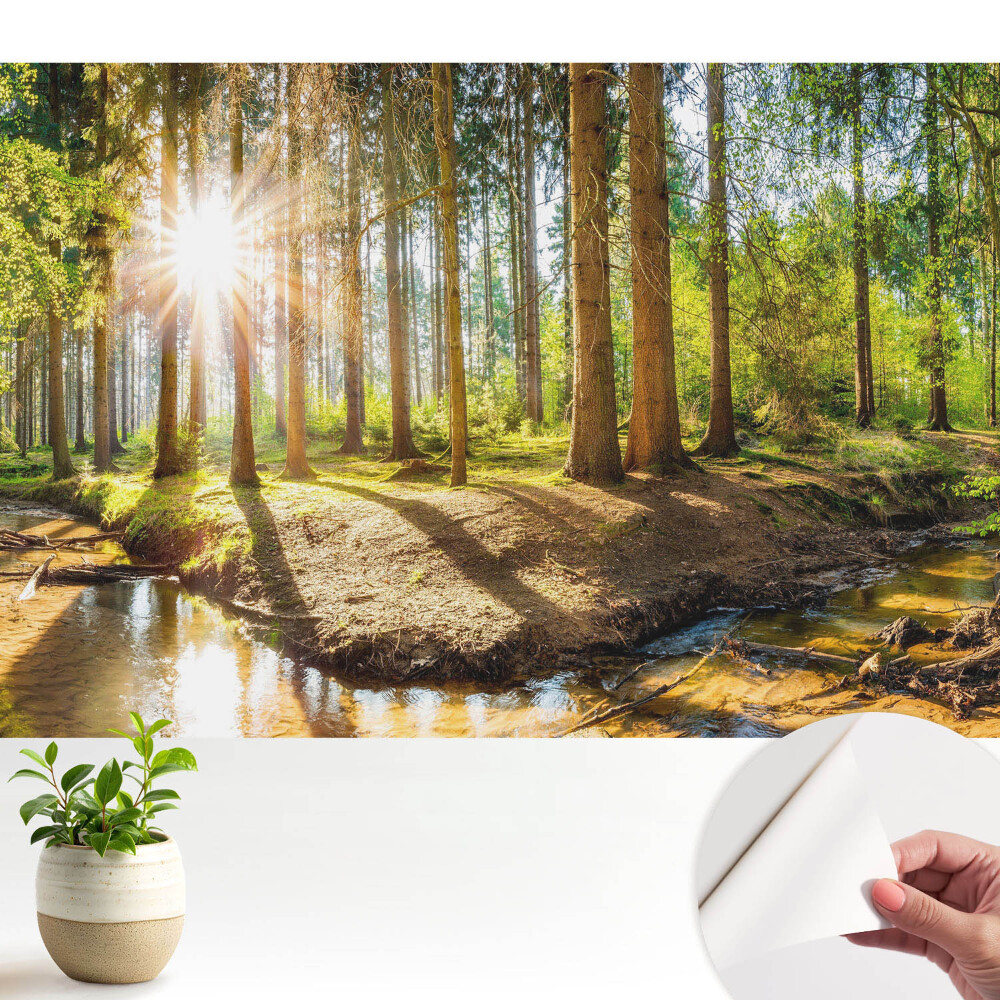 Tapeta do obývačky Žiariace slnko v lesnej krajine