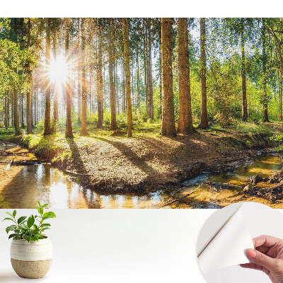 Tapeta do obývačky Žiariace slnko v lesnej krajine