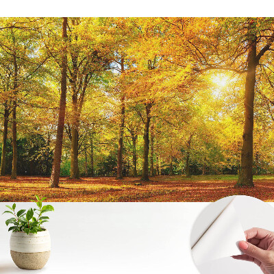 Tapeta na stenu samolepiaca s motívom jesennej panorámy lesa plného farebných listov
