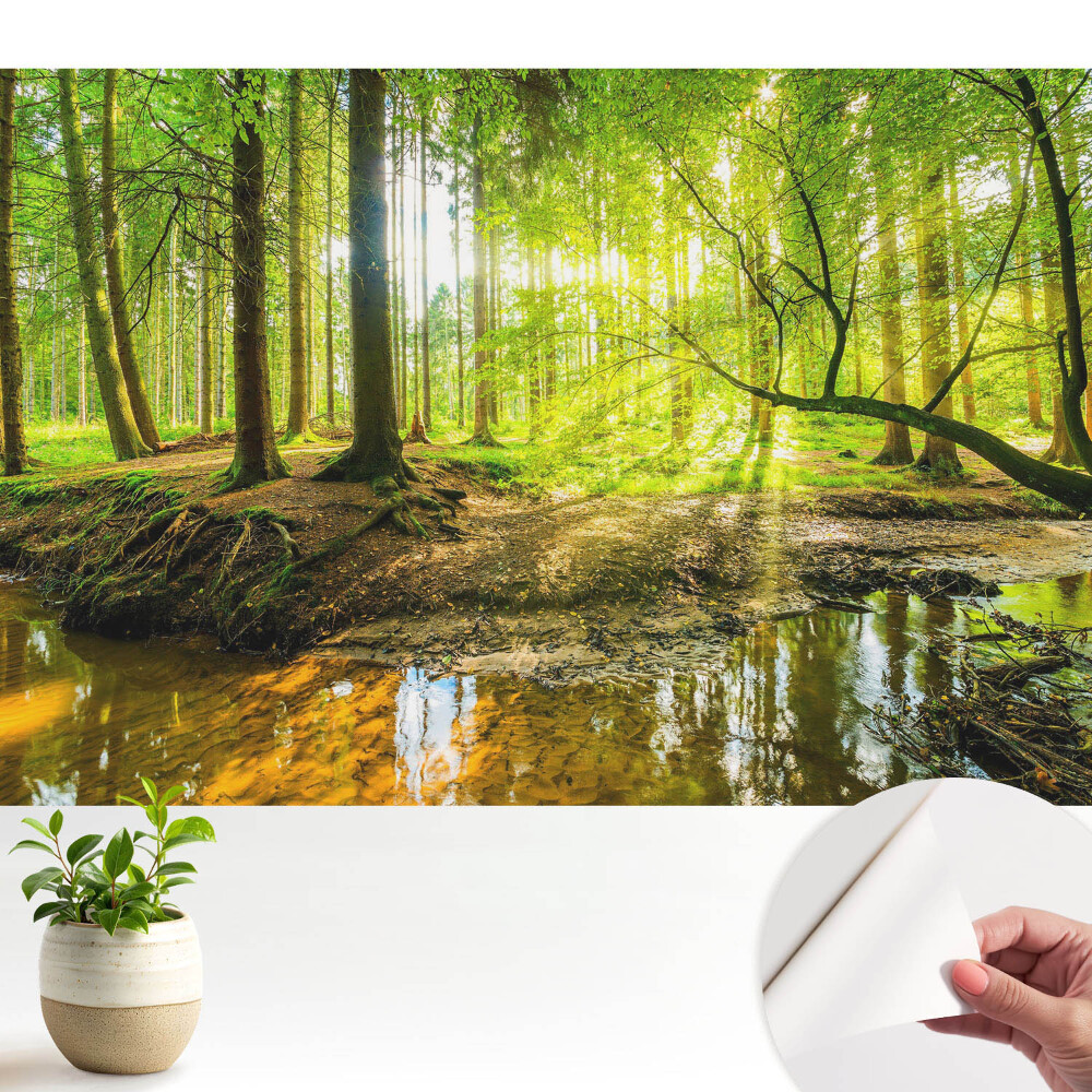 Tapeta Lesný pokoj, svetlo, potok