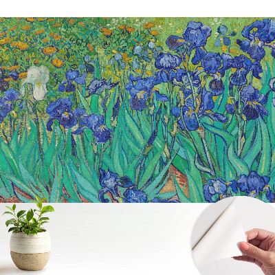 Tapeta Fialové kosatce v zelenej záhrade