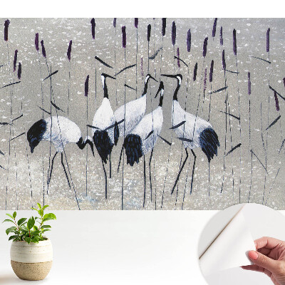 Luxusná tapeta Elegantné žeriavy medzi trávou